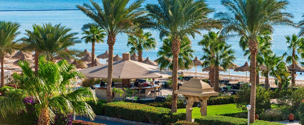 Baron Sheikh (adults Only) Sharm-el-Sheikh