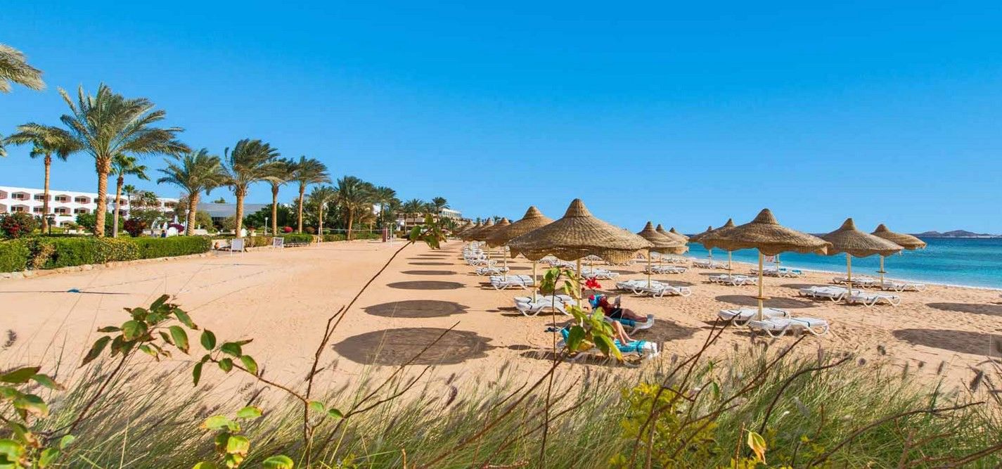 Resort Baron Sheikh (adults Only)