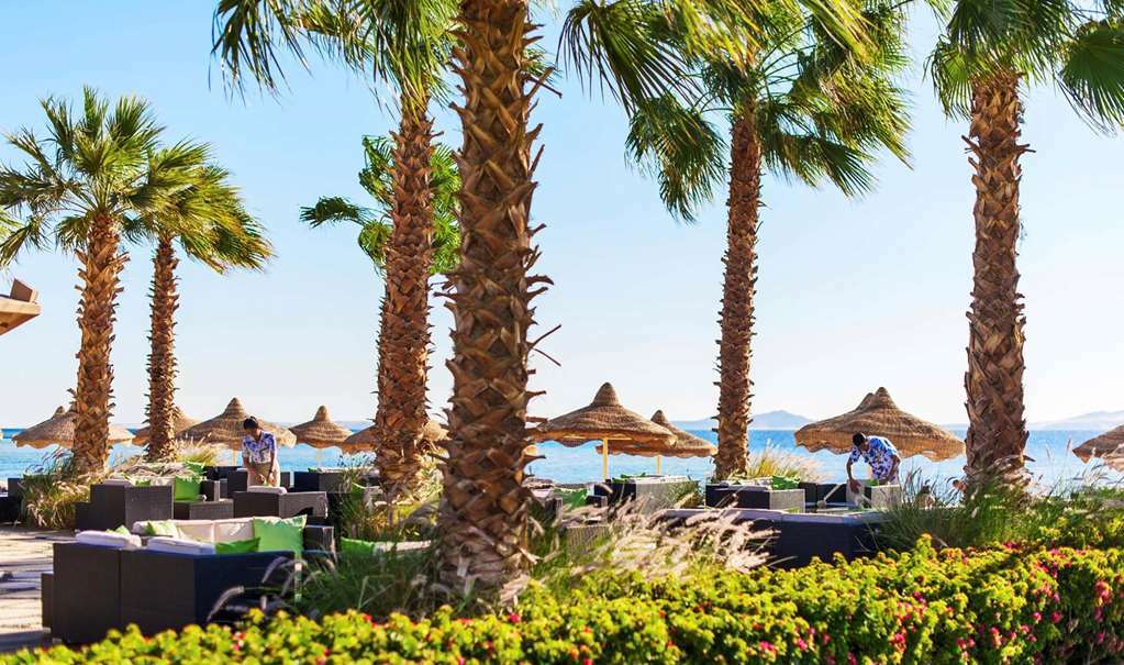 Baron Sheikh (adults Only) 5*