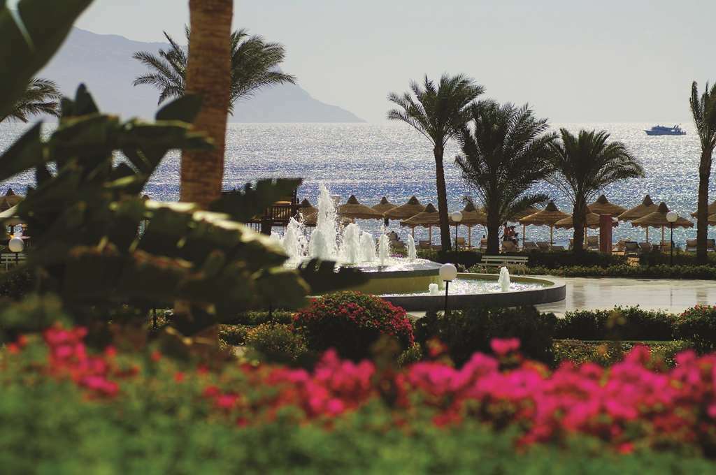 Baron Sheikh (adults Only) 5*
